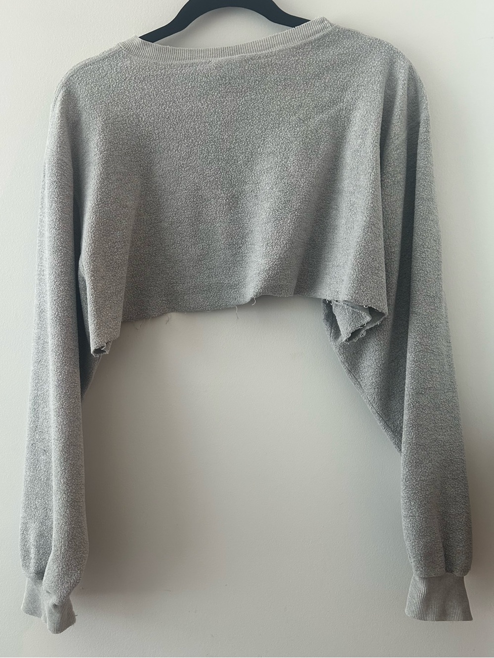 Champion Vintage Grey Micro Cropped Crewneck Sweatshirt Streetwear Y2K Large - Picture 9 of 10
